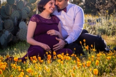 20200314-bita-damadzadeh-maternity-session-176