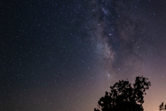 1_20180707-_MG_6097-Pano