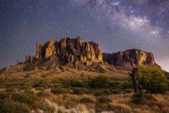 Cholla and Milky way at the superstition mountains
