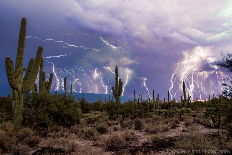 Struck by Lightning