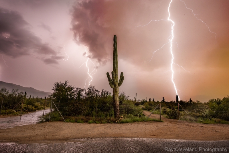 20210810-lightning-031-Edit