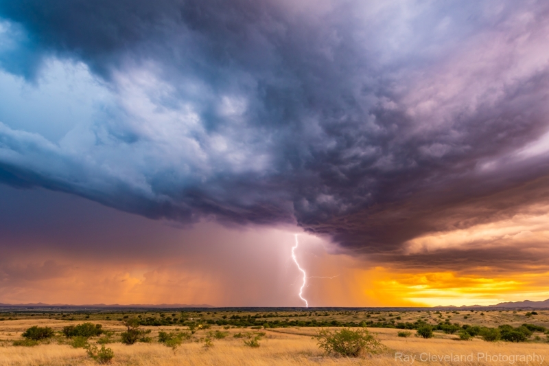20230806-monsoon-sonoita-r6-213