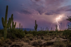Sabino Canyon Lightning
