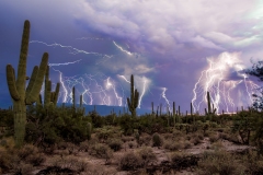 Struck by Lightning