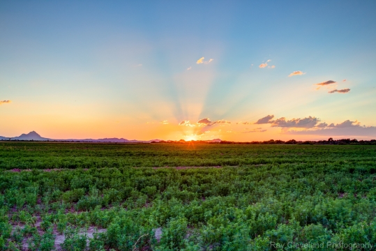 20150710-IMG_0411_2_3_4_5_hdr