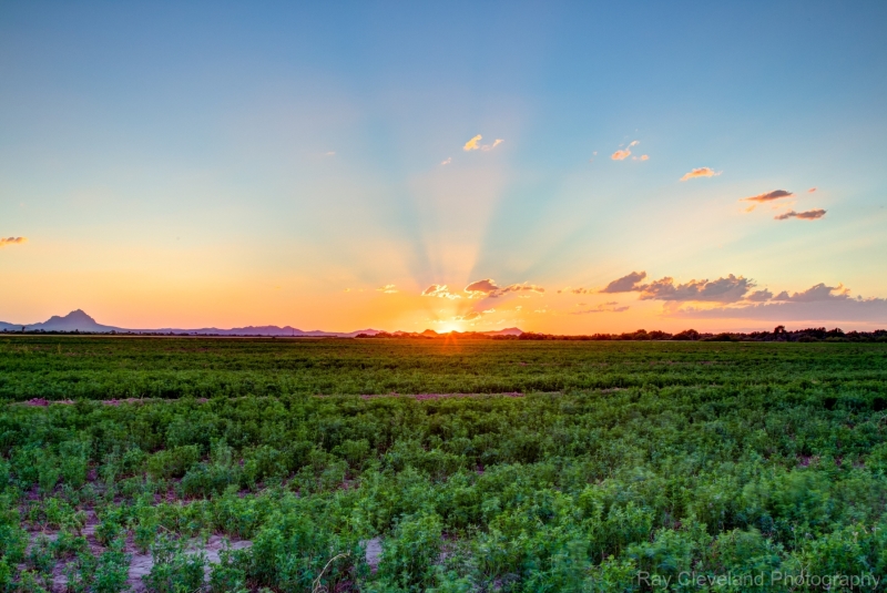 20150710-IMG_0411_2_3_4_5_hdr