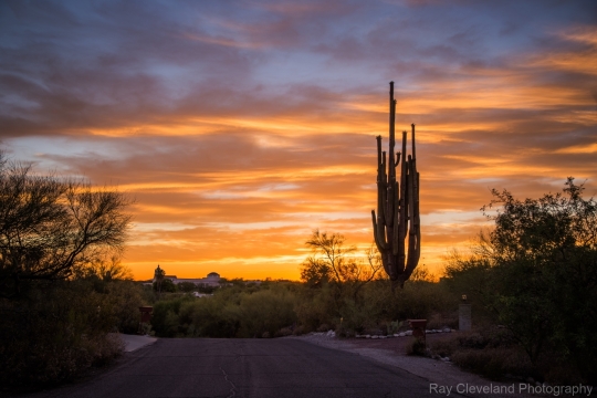 Another Tucson Sunset