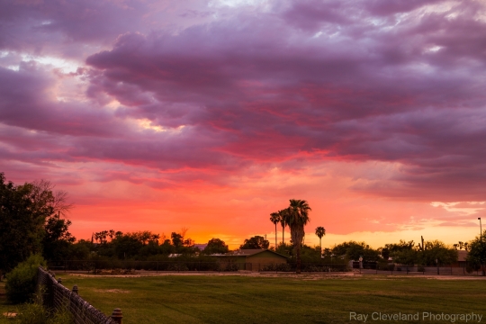 20170822-park-sunset-082