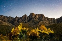 thumbs_20230527-Catalina-State-Park-Stars-082-Edit-watermarked