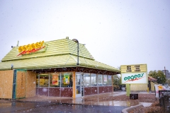 Eegees in the snow